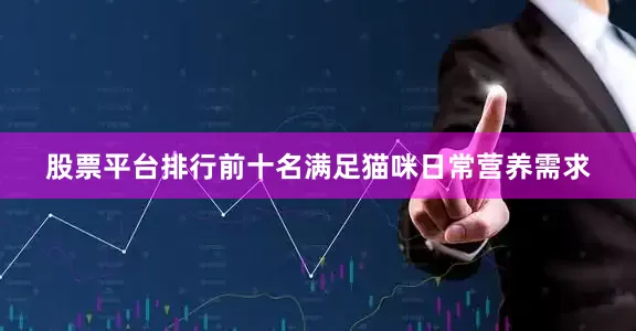 股票平台排行前十名满足猫咪日常营养需求