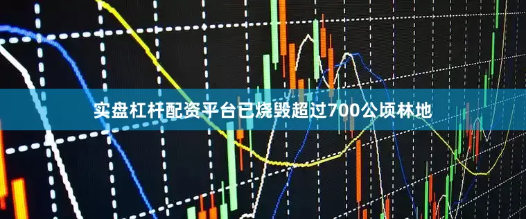 实盘杠杆配资平台已烧毁超过700公顷林地