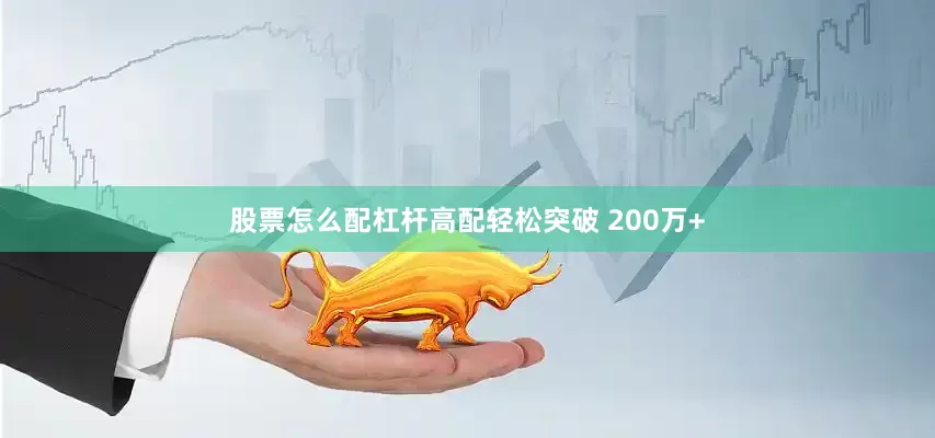 股票怎么配杠杆高配轻松突破 200万+