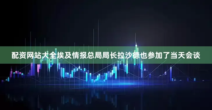 配资网站大全埃及情报总局局长拉沙德也参加了当天会谈